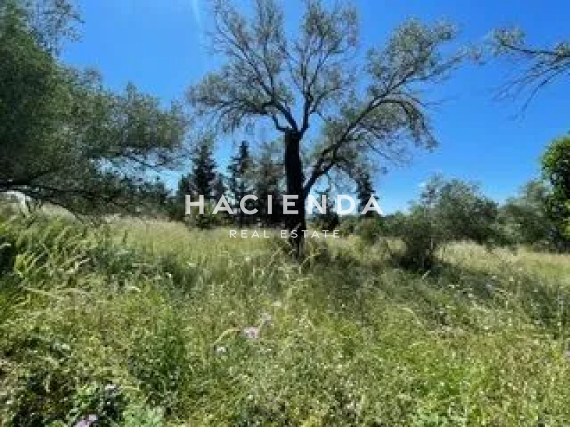 property-img